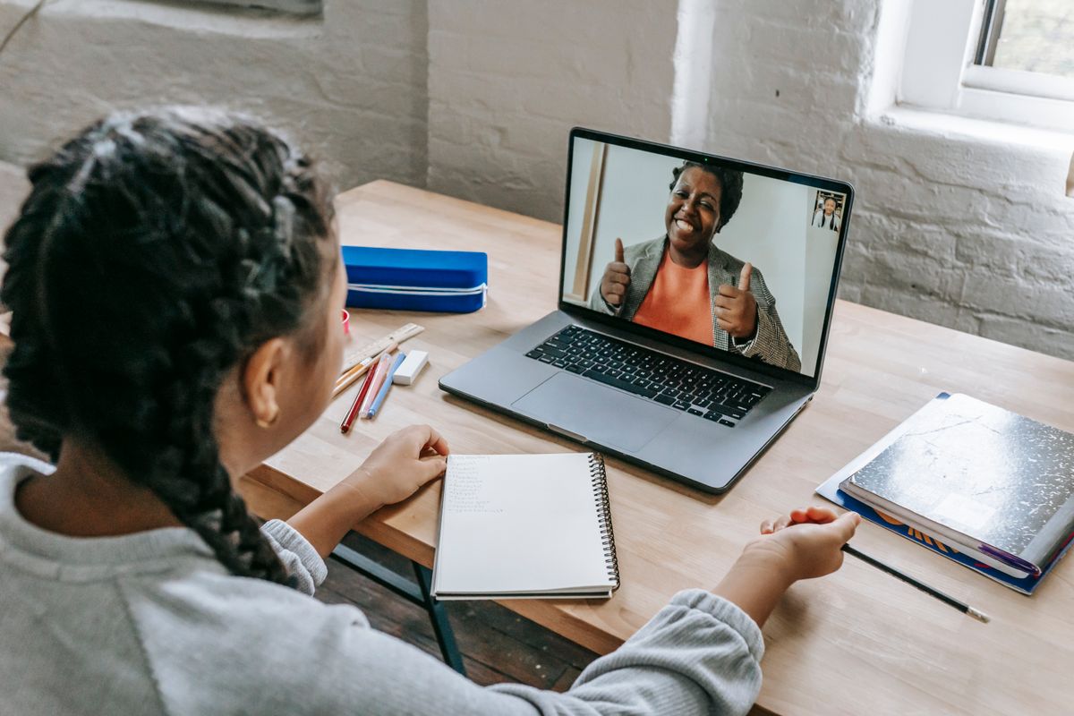 Expert mentorship and coaching session